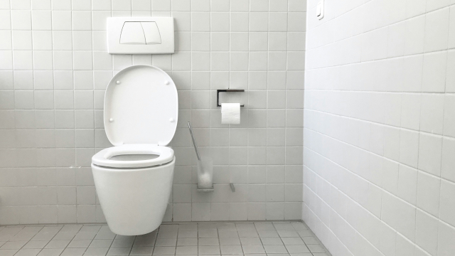 /media/image/taxonomy/menu/68c7d08ef0f8b-toilettes.jpg