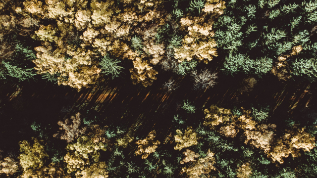 /media/image/taxonomy/menu/68ca763c85b66-donnie-rosie-slgbhbb1cso-unsplash.jpg