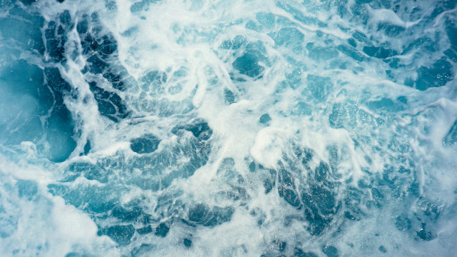 /media/image/taxonomy/menu/68d655a3974c9-christoffer-engstrom-wc9avd2ran0-unsplash.jpg